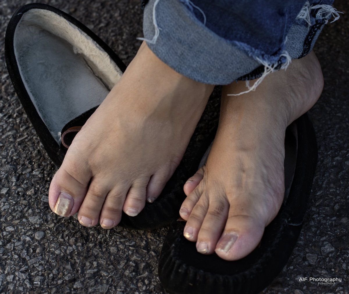 AifPhotography's tweet photo. The end of a long day! I'll end this night of #Toesday with a montage of lovely #feet for your enjoyment! Now I am off to try this new taco place... ๐ฎ
Models (L to R) :
Yunipa ๐๐ปโโ๏ธ
Lin ๐ธ
Mystery Girl โด๏ธ
Josefina ๐
#footfetish #twitterfootmovement #tacotuesday https://t.co/ZgctQLp8yn