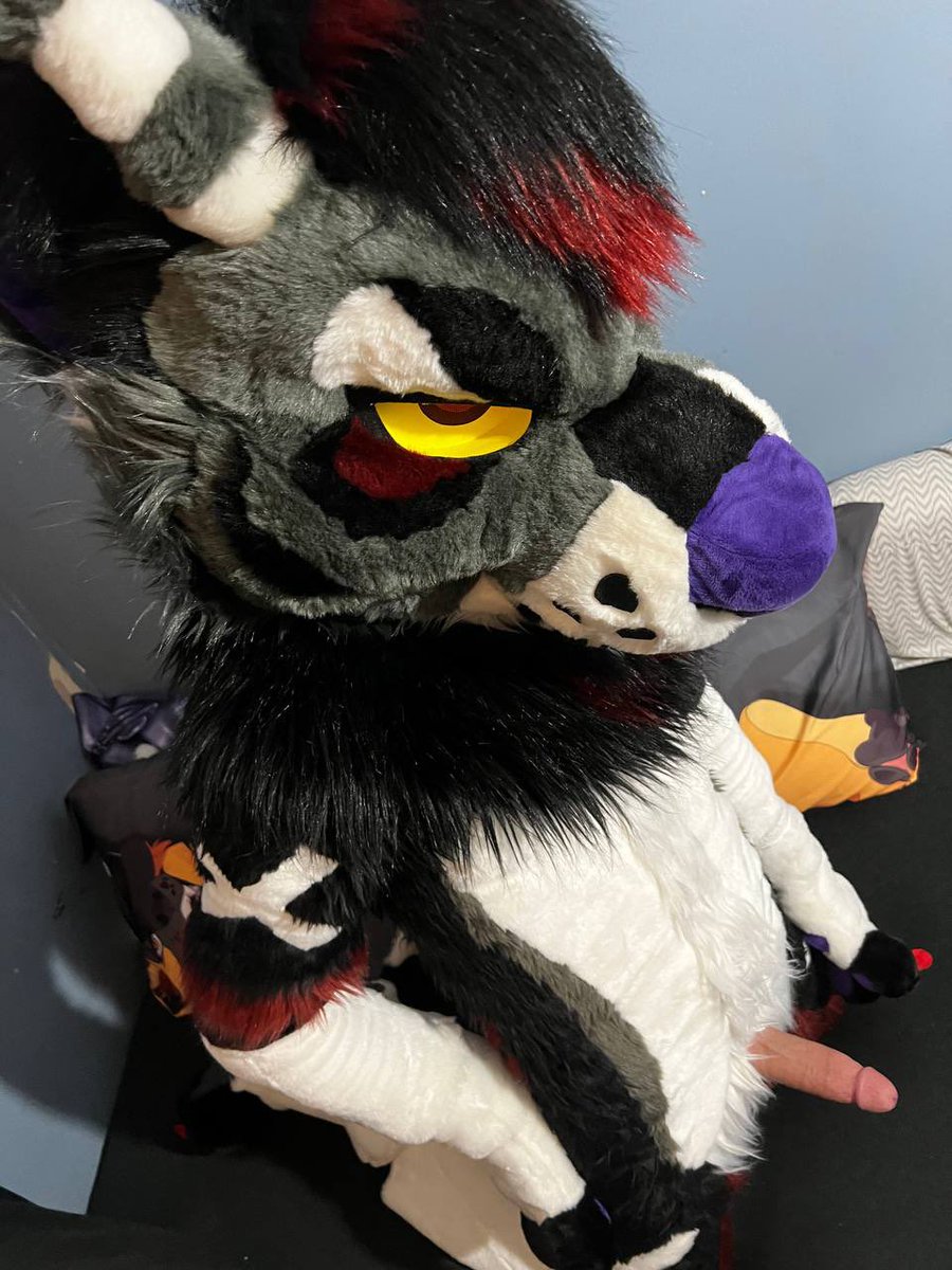 OverlyWarmBread's tweet photo. There’s an empty spot on the bed in front of me~ who wants to take up the spot for a long night of fun😘

📸: @PolishedWuff https://t.co/1k5HVuVEfl