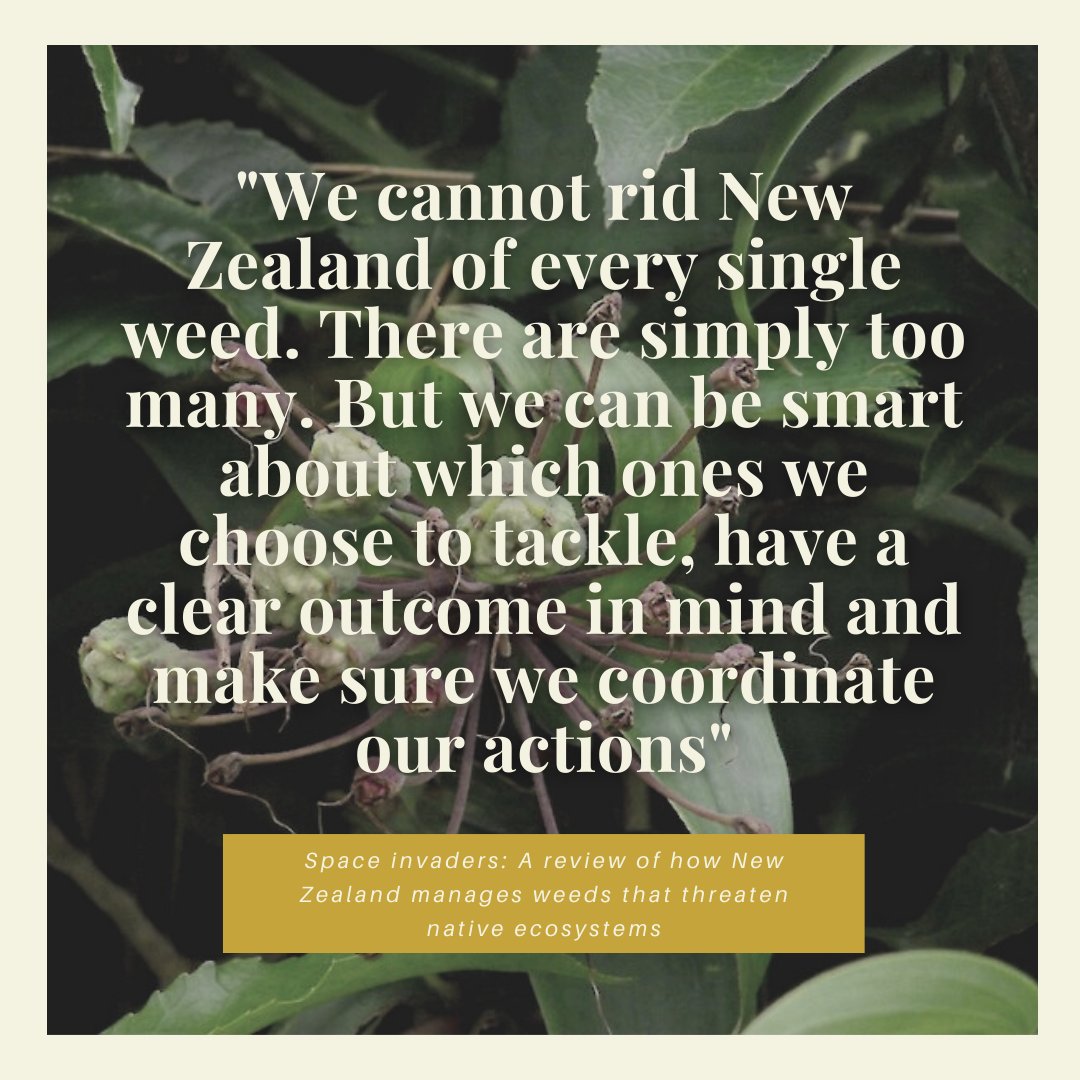FindNz's tweet photo. The Parliamentary Commissioner for the Environment has release a report on the management of weeds in NZ
#weedsnz #findapest https://t.co/sqgzuNTyT8 https://t.co/VQWC8qyvQl