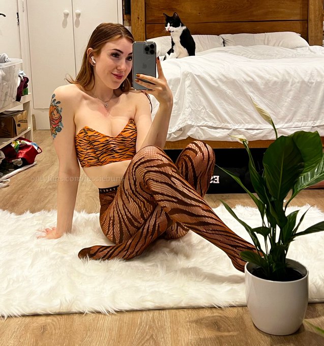 My cat has those AWOOGA eyes😳 https://t.co/udpWJurgc8<a href="/tag/newprofilepic"class="tags"><span>#newprofilepic</span></a>