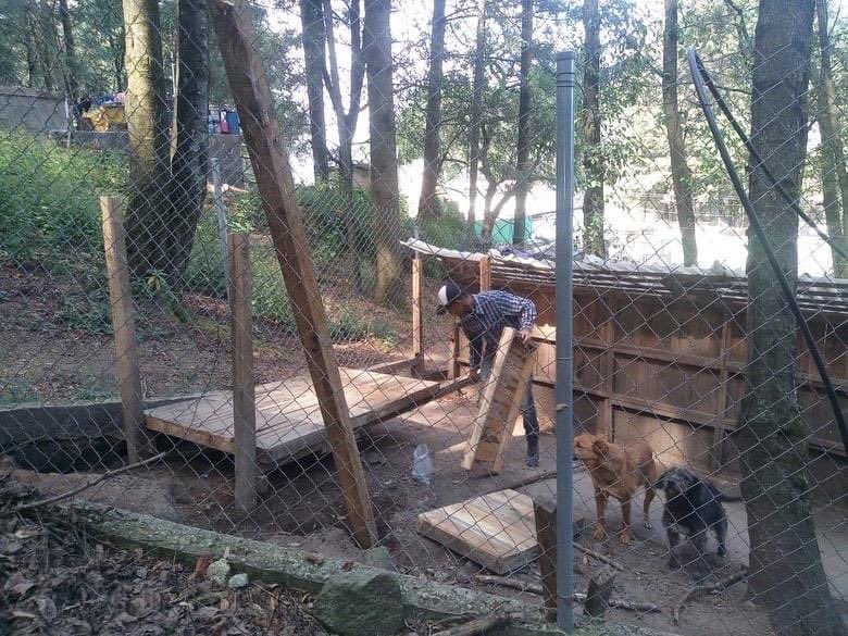 primero_perro's tweet photo. La familia creció y eso significa que algunos cambios haremos en el hogar 🐶😊

❄️Construcción de casetas nuevas (6)

❄️Comenzamos con la estructura del área que ocupará bolita y otra de igual tamaño será para woki https://t.co/DvlH9AGyIM
