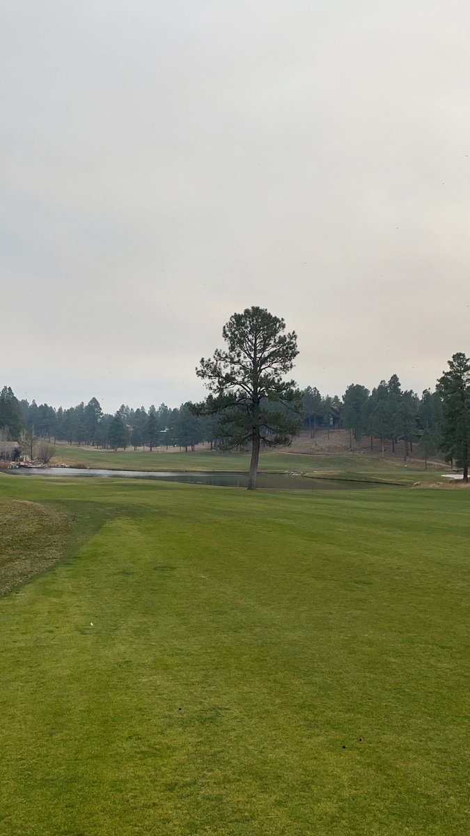 Controlled burns just out of town are making for a smoky day at the golf course but dang 16 is one of my favorite holes out here 🌲