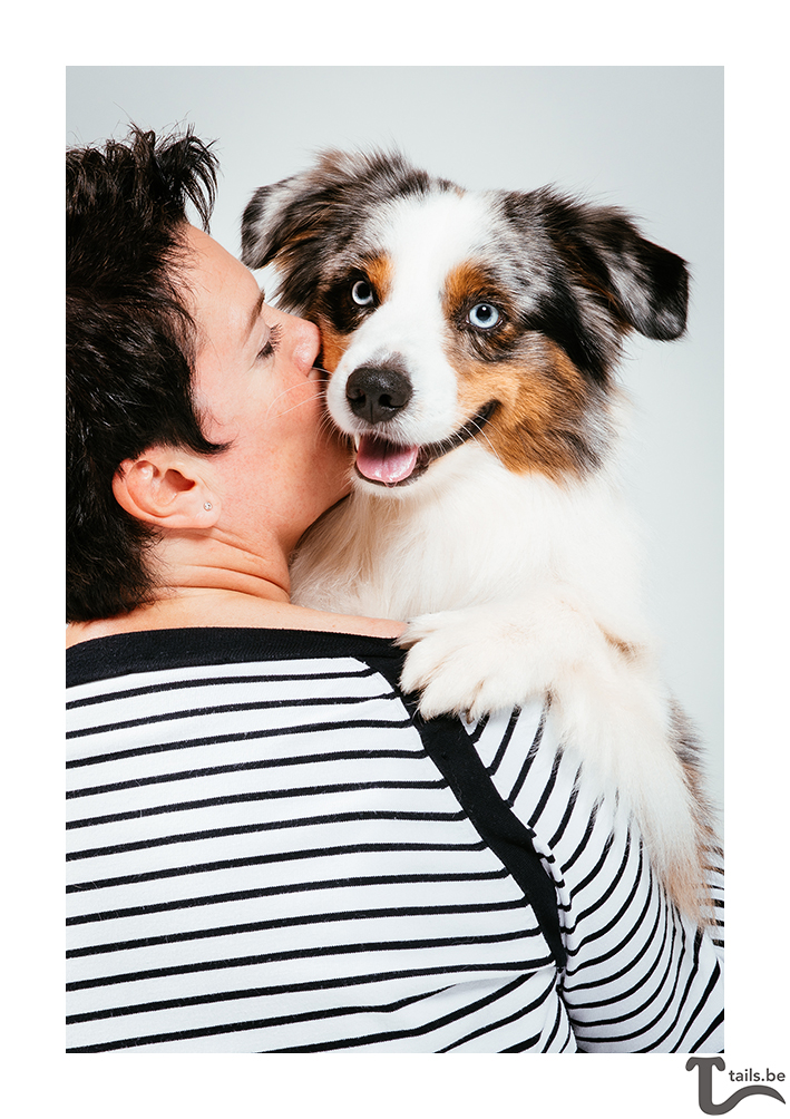 DogLikeMe's tweet photo. Meet Alexandra &amp; Zivko (Mini Australian Shepherd) from Antwerp, Belgium! Read their gotcha story in the link below! #dogsoftwitter #dogs #doge #Belgium 
https://t.co/PYMg4C9XBW https://t.co/d8h3JZF3ys