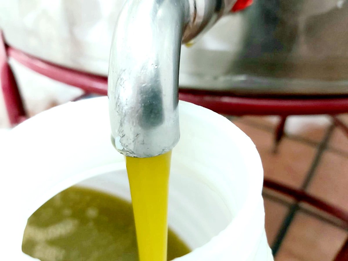 Ja el tenim aqui !!! Oli del raig !!! Ara el decantarem uns dies i ja estara llest per servir