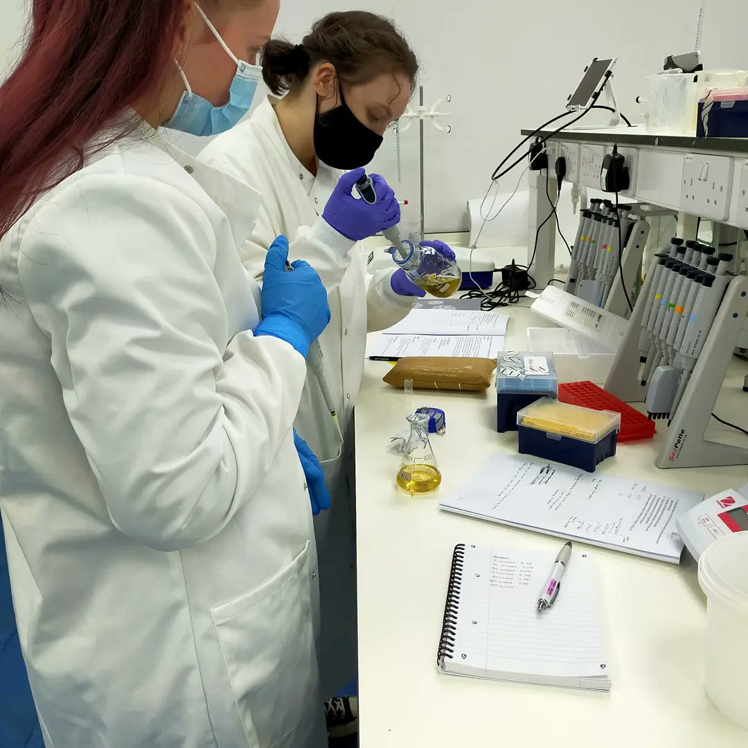 UoCMedSci's tweet photo. Another great #MD5028 Advanced #microbiology practical today! 

Thank you @NaviPalanisamy @KristinaRandle5 and Dr Ioanna Myrtziou-Kanaki!

If you were dying to know how last week's bacterial transformation went, take a look at the last picture!

@uochester #CMSTechTeam https://t.co/en8edQUmSt