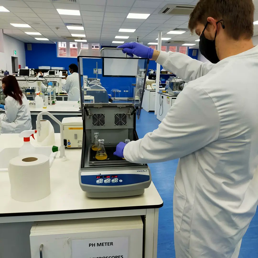 UoCMedSci's tweet photo. Another great #MD5028 Advanced #microbiology practical today! 

Thank you @NaviPalanisamy @KristinaRandle5 and Dr Ioanna Myrtziou-Kanaki!

If you were dying to know how last week's bacterial transformation went, take a look at the last picture!

@uochester #CMSTechTeam https://t.co/en8edQUmSt