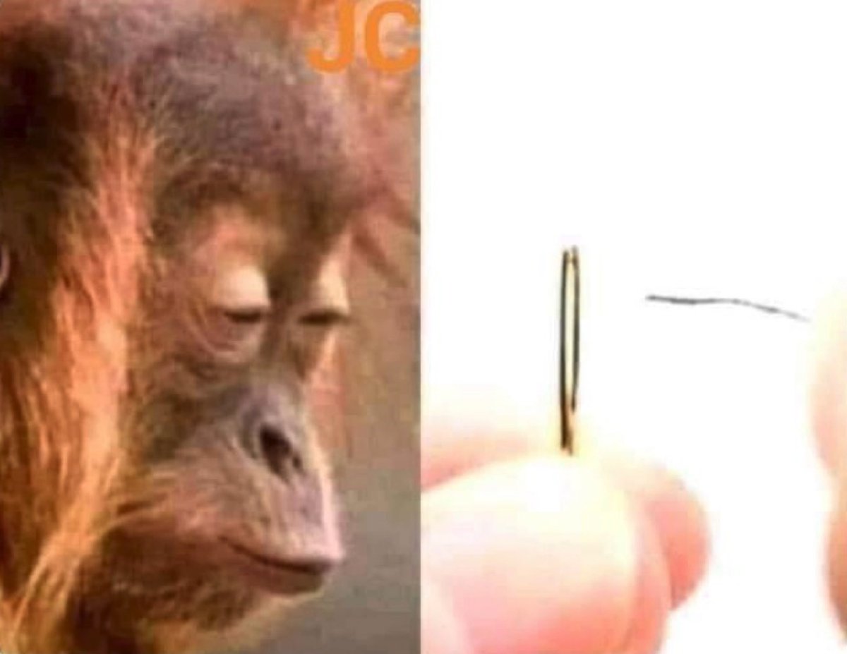 Guarromantico_'s tweet image. Mi mamá: Ven hijo, ponle el hilo a la aguja, tú ves mejor.

Yo: