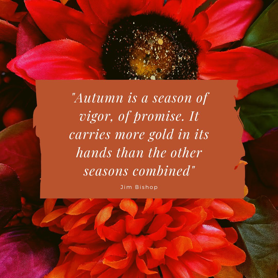 NSCS at Mizzou tweet media