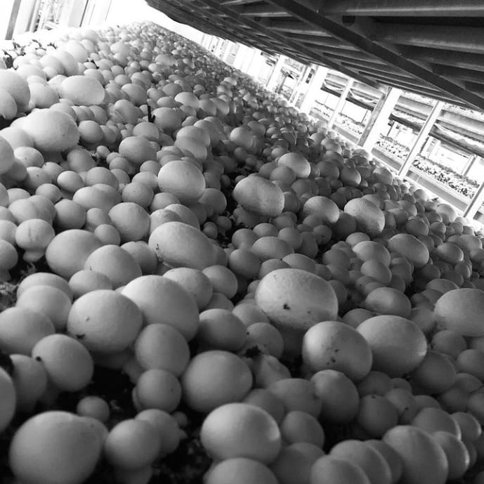 clairsucces's tweet image. 