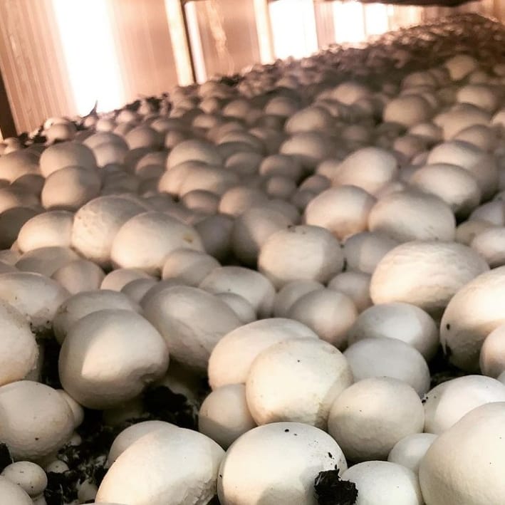 clairsucces's tweet image. 