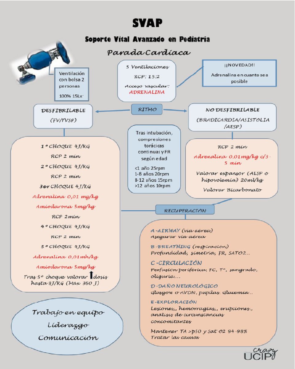 Consulta esta foto de Instagram de <a href="/crazyucip/">UCIPcare</a> instagram.com/p/CWVf80is_8B/… 
RCP avanzada en pediatría