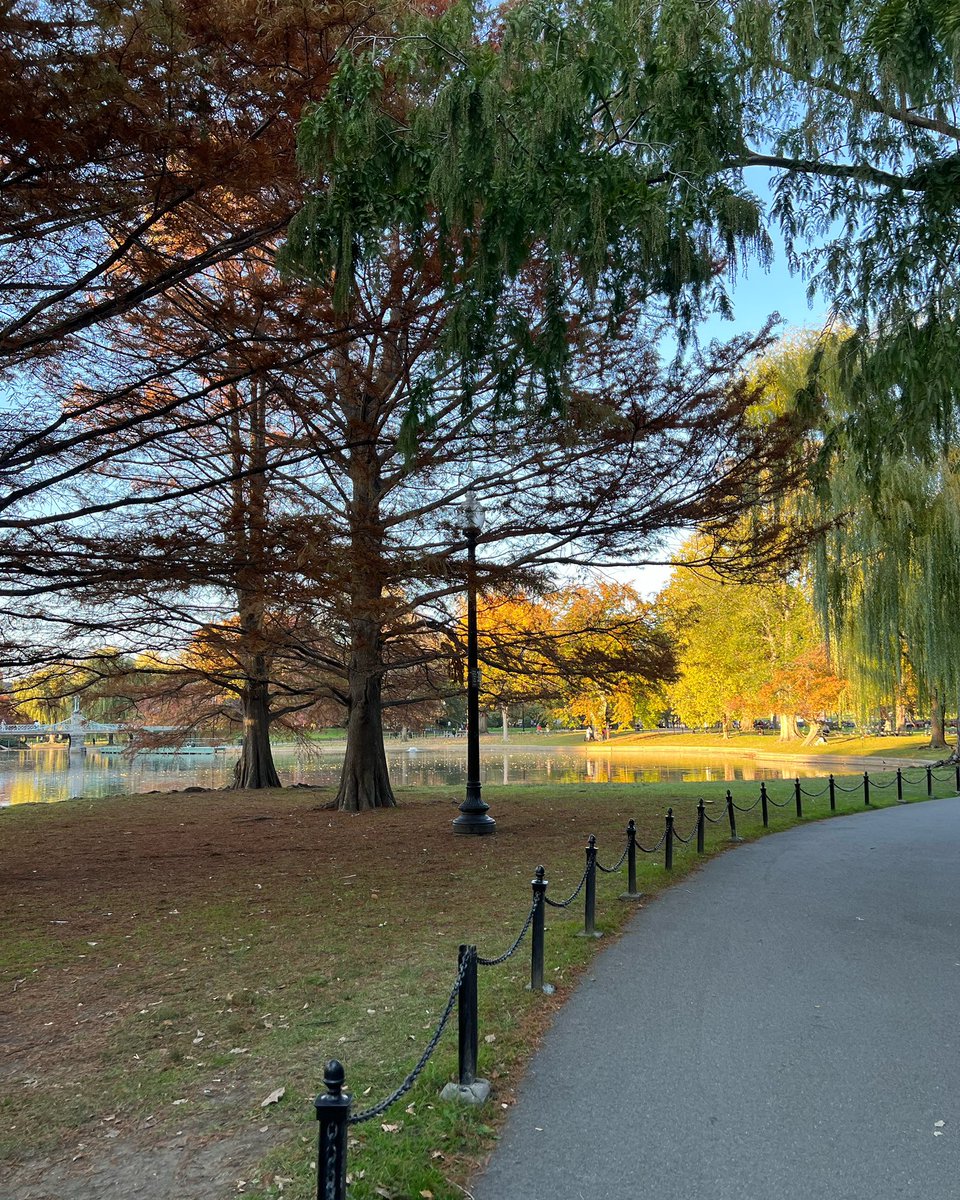finishpostprod's tweet photo. Hang on Boston, winter is coming. Warm up with some color here at Finish!
#FinishPost #PostProduction #Colorist #ColorCorrection #ColorGrading #ColorGraders #Winter #BostonCommon #Boston #Massachusetts #NewEngland https://t.co/7qEtWG7Ewd