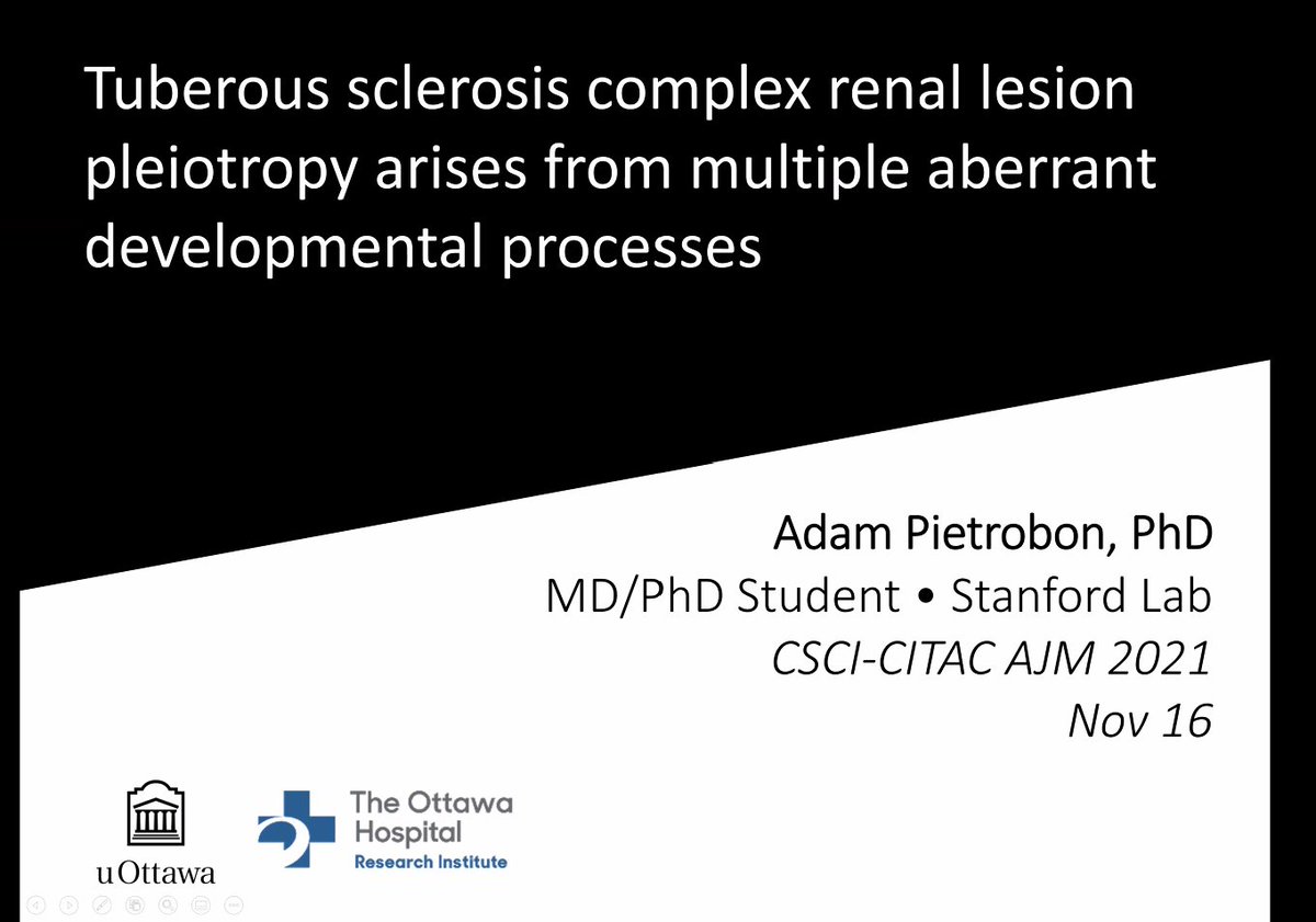CITAC_ACCFC's tweet photo. #AJM2021 Oral Presentations 🗣️

Presenter # 4⃣ is @adampietrobon sharing research from his (recently defended! 🥳) PhD! TSC renal lesion pleiotropy arises from multiple aberrant developmental processes 🔬 Congratulations, Prez!

@CSCI_SCRC https://t.co/fFmnyJcR3Q