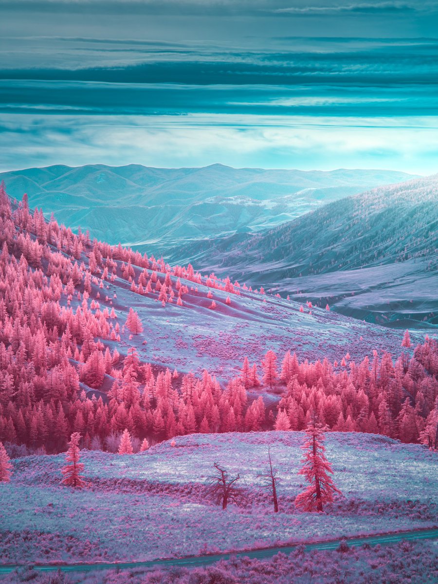 Say hello to Candyland. 🍭