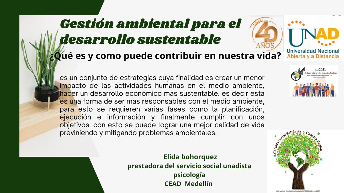 ely bohorquez tweet media