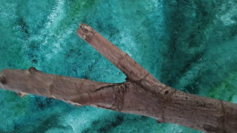 WorldwideShakey's tweet photo. Do you remember this prop? It was possibly our prop MVP of the show by James Wordsworth! 

Grab your tickets to catch up on Tempest here: https://t.co/ARrRpibvnF https://t.co/BkpQuXhjGI