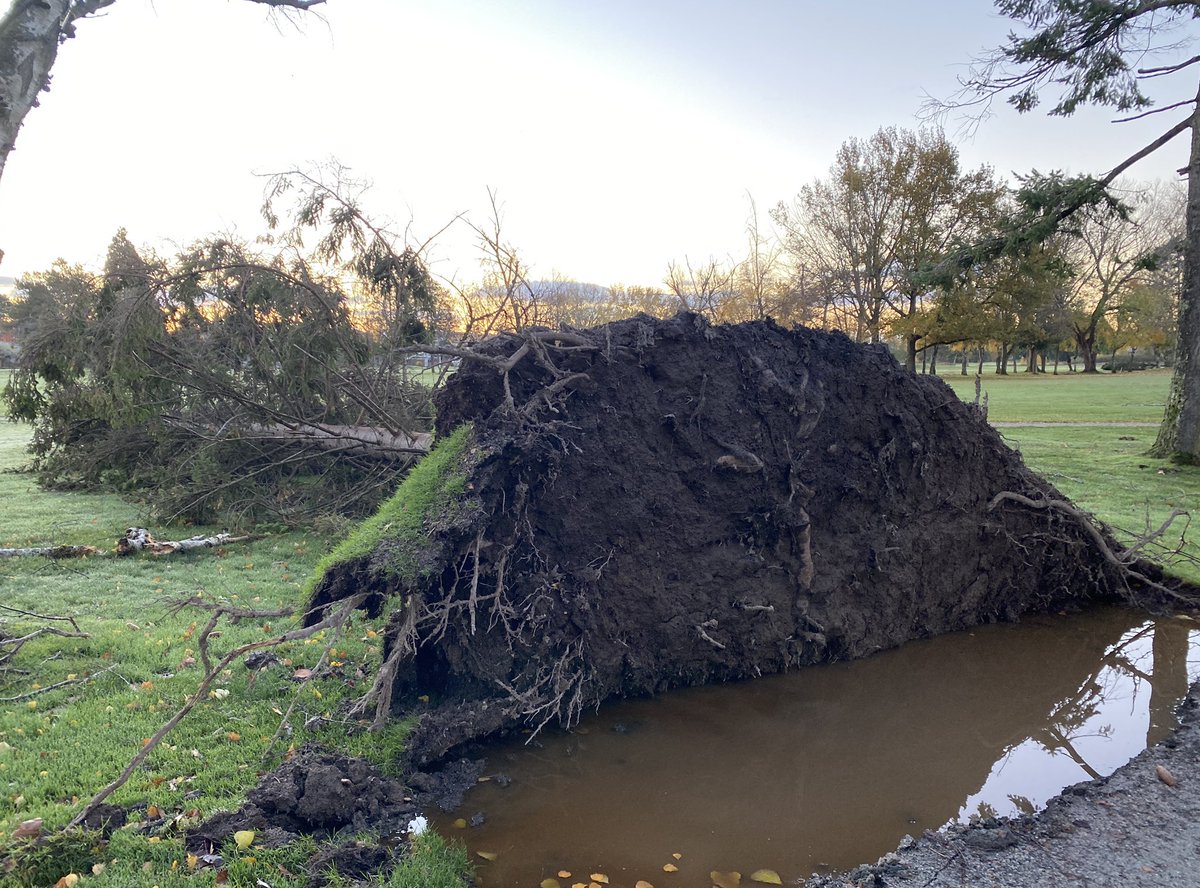 RileyHummelle's tweet photo. 122 mm of rain in 48 hours, followed by 88 km/h wind. We’ve got some cleanup to do before reopening. https://t.co/PUew92Dmhc