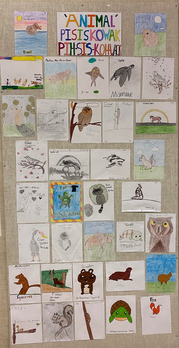 Mrs. Morody is reading The Barren Grounds with her grade 6/7 class as part of the Global Read Aloud. Students are learning Swampy Cree vocabulary &amp; making meaningful connections to the novel! #GRA2021 <a href="/SPSLearn/">SPSLearn</a>