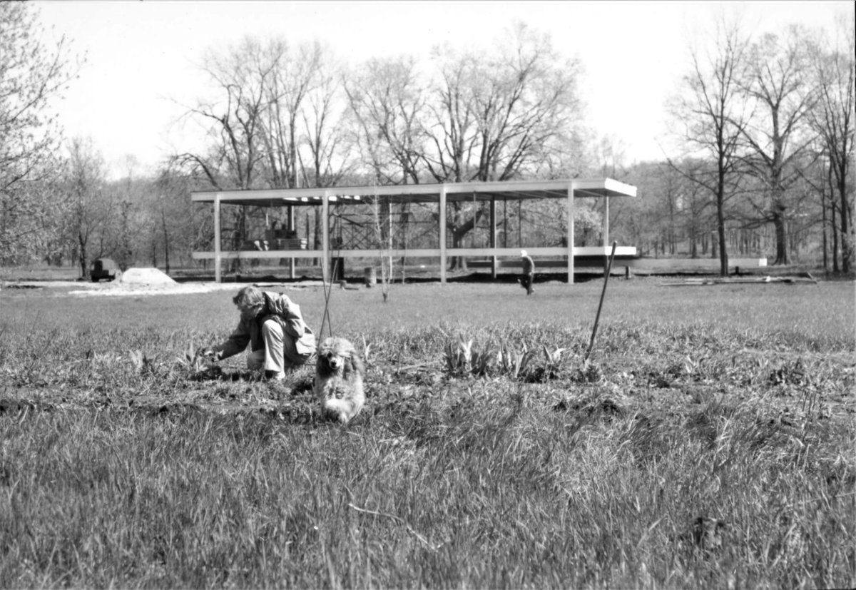 chiarchitecture's tweet photo. DYK #FarnsworthHouse has been renamed #EdithFarnsworthHouse. I ❤️ that she is now getting the recognition she deserves. And ALSO, I love this photo. Who couldn't love a pic of beautiful #architecture, a brilliant woman &amp; a #happydog?? 😍 https://t.co/Y07Aay6c47 via: @archpaper https://t.co/uYWLmtmrdr