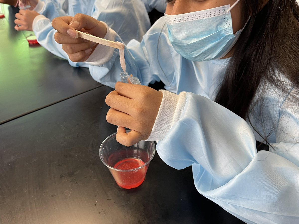 kwesby73's tweet photo. I am so proud of my STEAM students. Today we partnered with Ms. Nicole @VanderbiltCSEO to extract DNA 𧬠from a strawberry π. Thanks for the continued support and partnership with @LittonMNPS. @MNPS_STEAM @DC_Palbino @mnps_i3stem @theTSIN @conley4kids @LittonPtso #TRONLAB https://t.co/gtuqubuwFi
