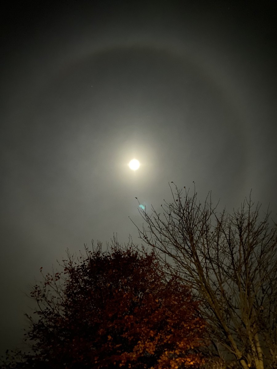 Mike.... LLB (Hons) tweet media