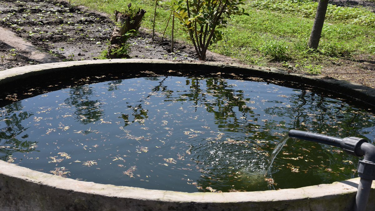 UNFPASénégal tweet media