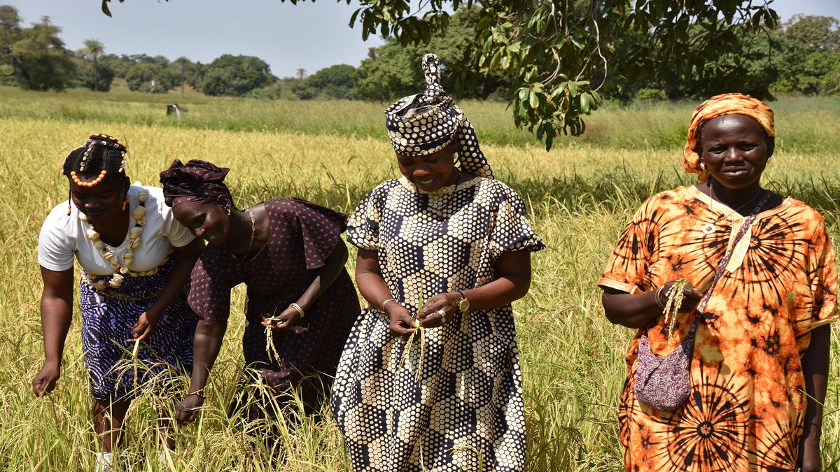 UNFPASénégal tweet media