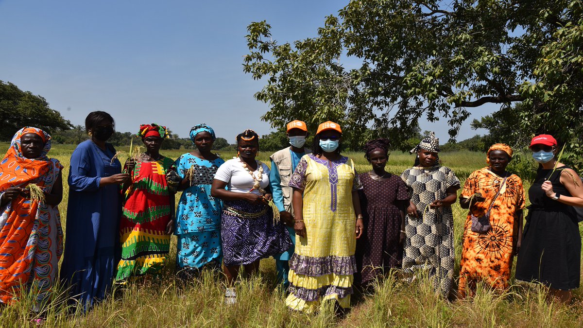 UNFPASénégal tweet media