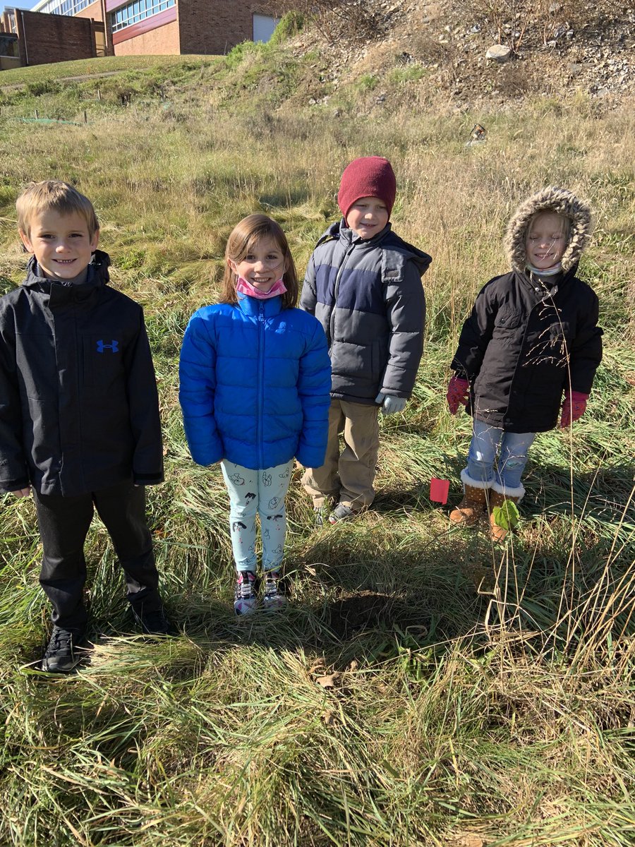 lrgraham23's tweet photo. Today our Ss along with @chesapeakebay planted trees behind our school!  We are continuing to learn the importance of trees! https://t.co/O29eUCG1GE