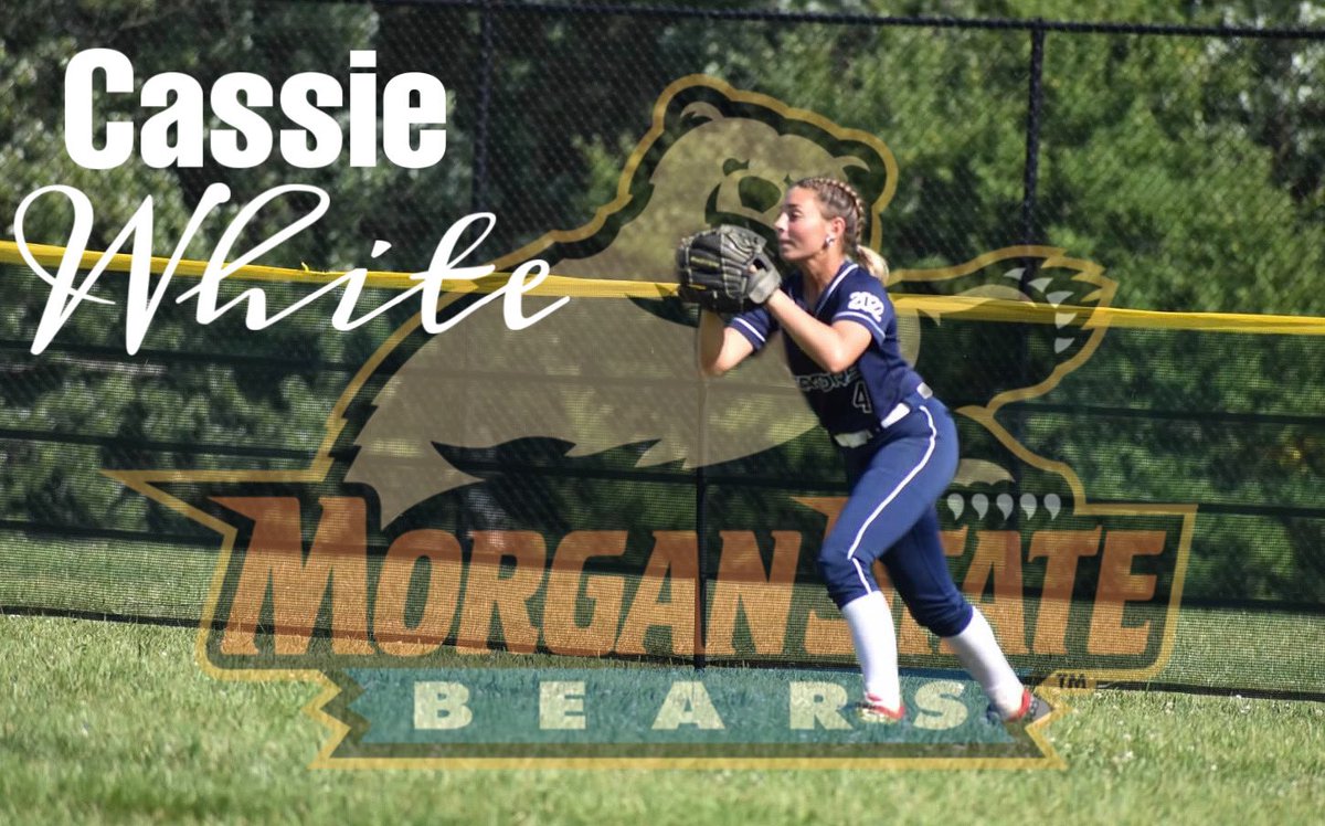 cassiewhite_4's tweet photo. Extremely blessed for the next four! #committed 🐻 https://t.co/CO5qRUdJDt