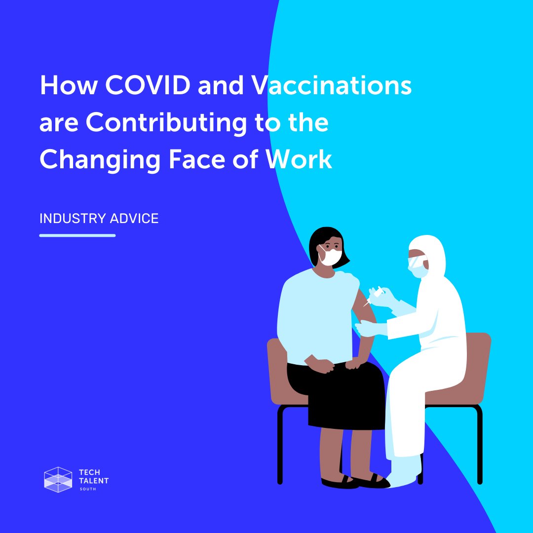 Tech Talent & Strategy tweet media