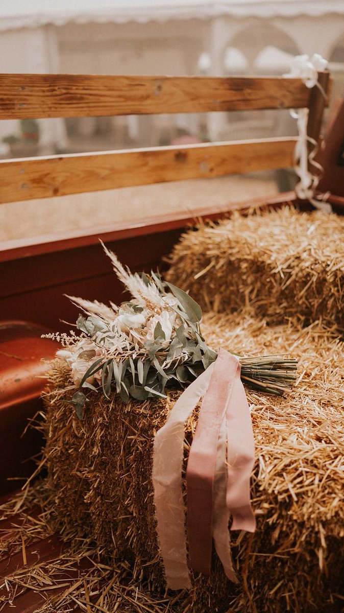 DollyHPN's tweet photo. Going through our #weddingphotos to print off & display!
No idea how to narrow it down, I just love them all & the beautiful memories they hold 🤩 📸
The best day ever 👰🏻♀️💍🌾🛻🪵🤍
#2021bride #bride #rusticwedding #wedding #countrybride #countrymusic #truck #rusticbride https://t.co/TPjEyf8qZO