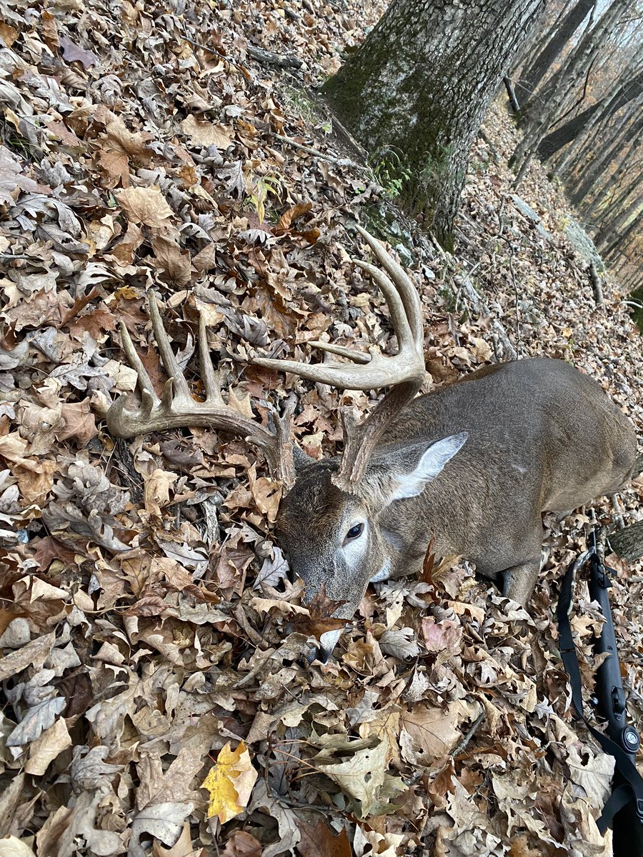 RyanBerns_24's tweet photo. Rifle opener was a good one! Biggest buck to date https://t.co/656CA4Gnr9