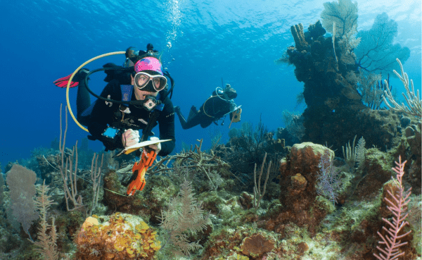 doecayman's tweet photo. Scientists warn that as tourism returns, much more consideration needs to be given to managing future human activity in the sea.

https://t.co/gGs2or6uru

#ProtectOurReefs #SaveOurReefs #CCMI #CentralCaribbeanMarineInstitute #ReefResearch https://t.co/X0Lq1amEwg