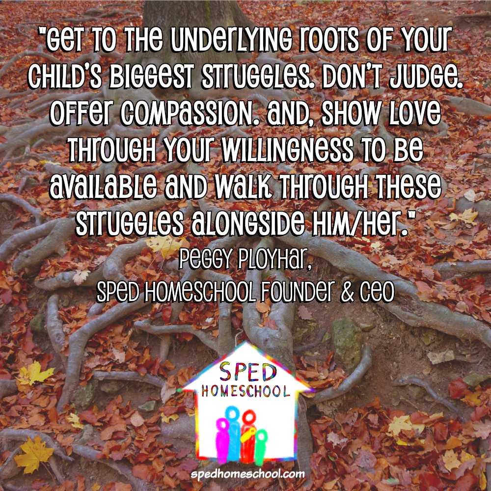 SPEDHomeschool's tweet image. #TuesdayQuote from #SPEDHomeschool
#learningstruggles #education #teachingstrategies