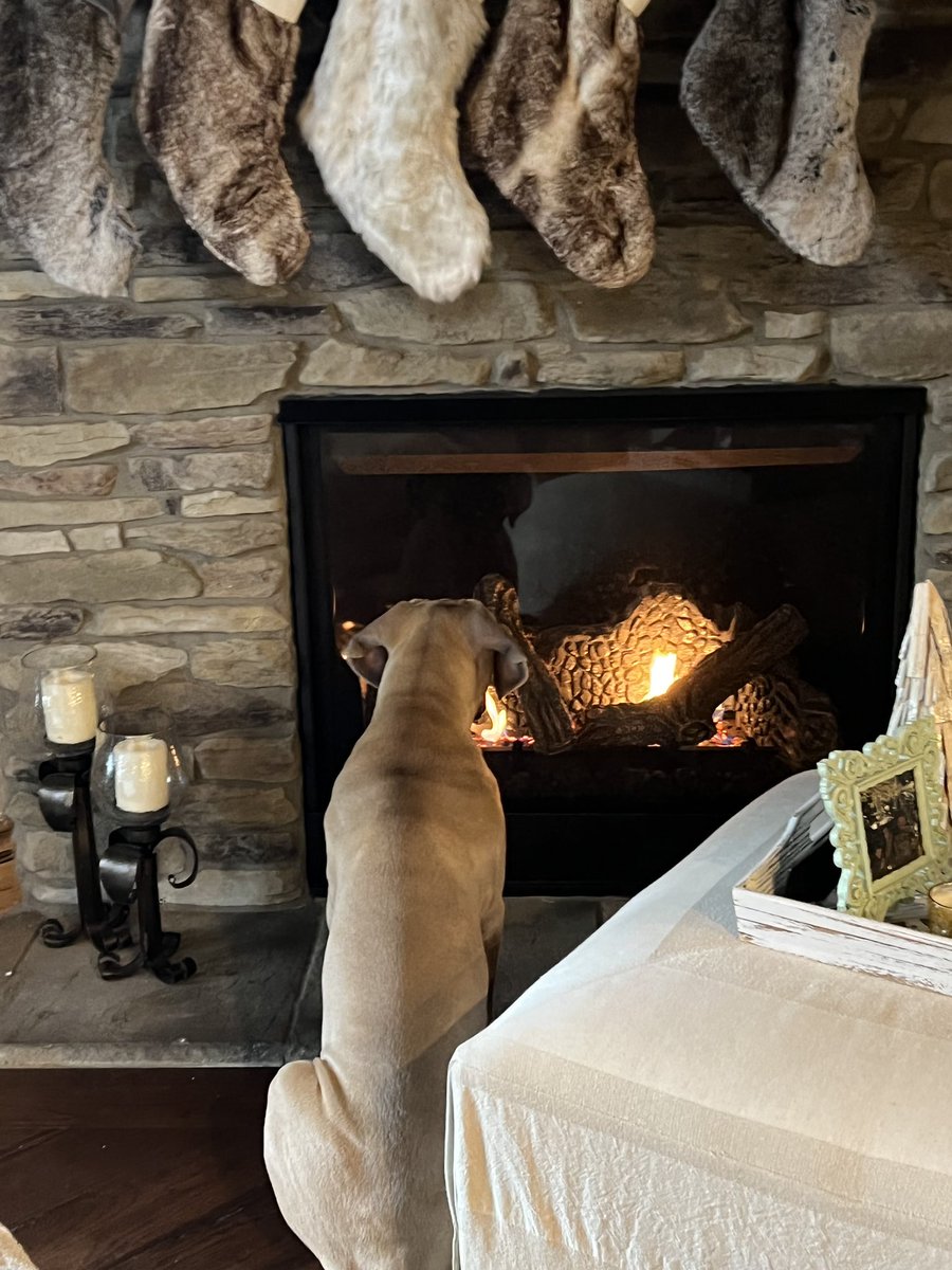 Mark Tepper tweet media