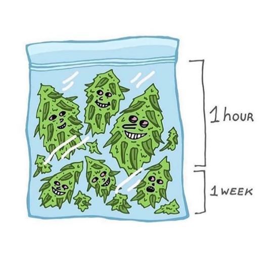 GeniusPothead 💹🧲 tweet media