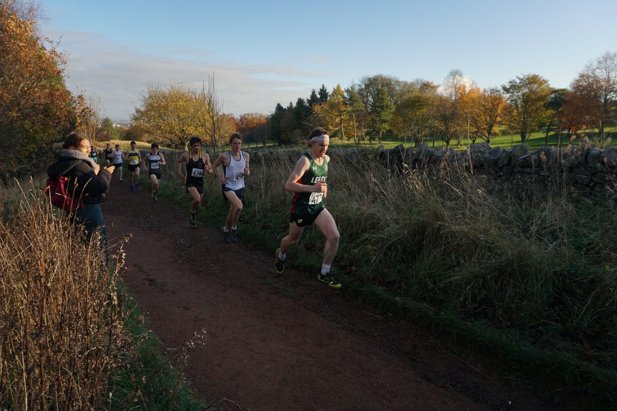 Harry Holmes tweet media