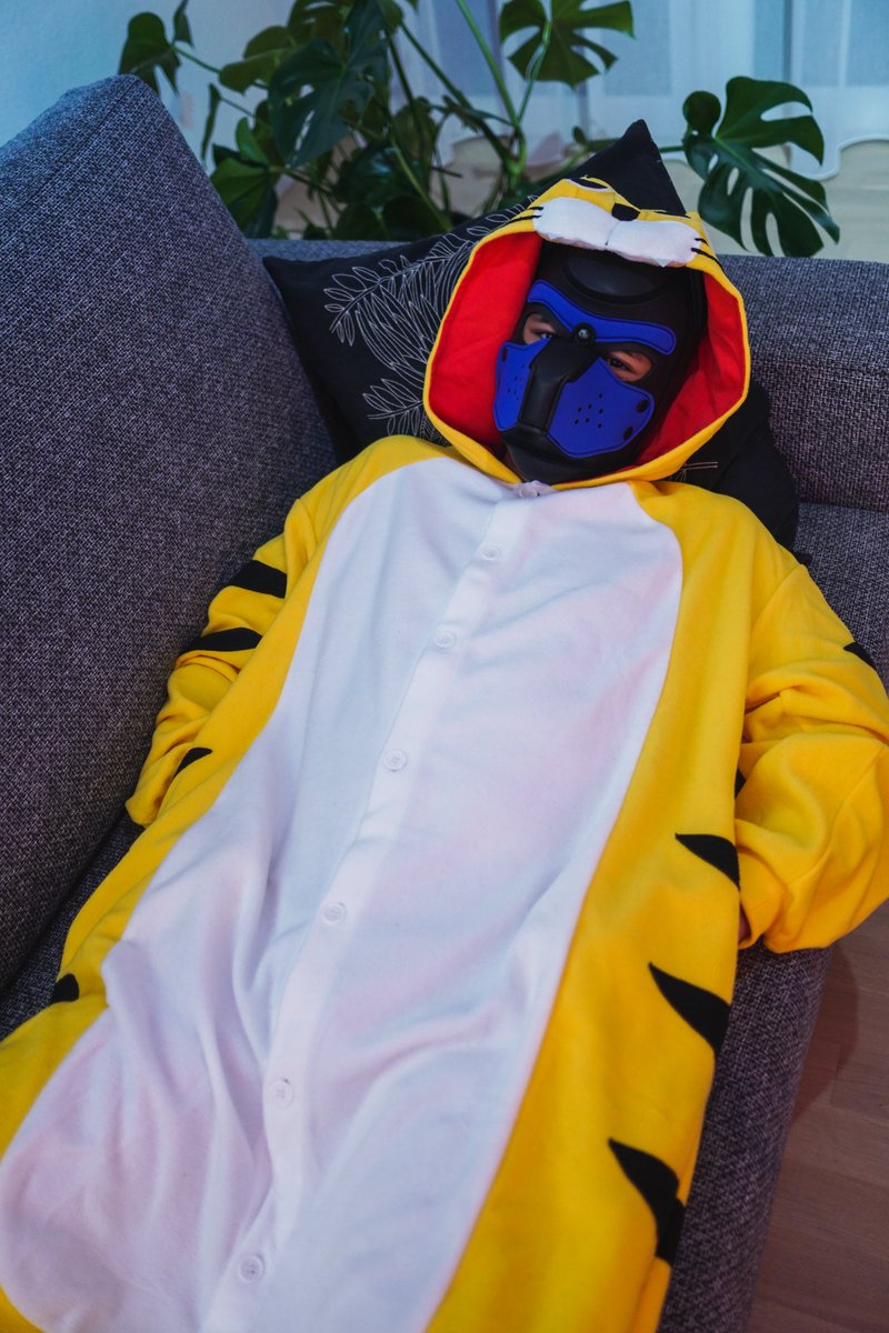 TigyPup's tweet photo. Anyone wants to give me snuggles? 🥺👉👈 https://t.co/YmRMroajIs