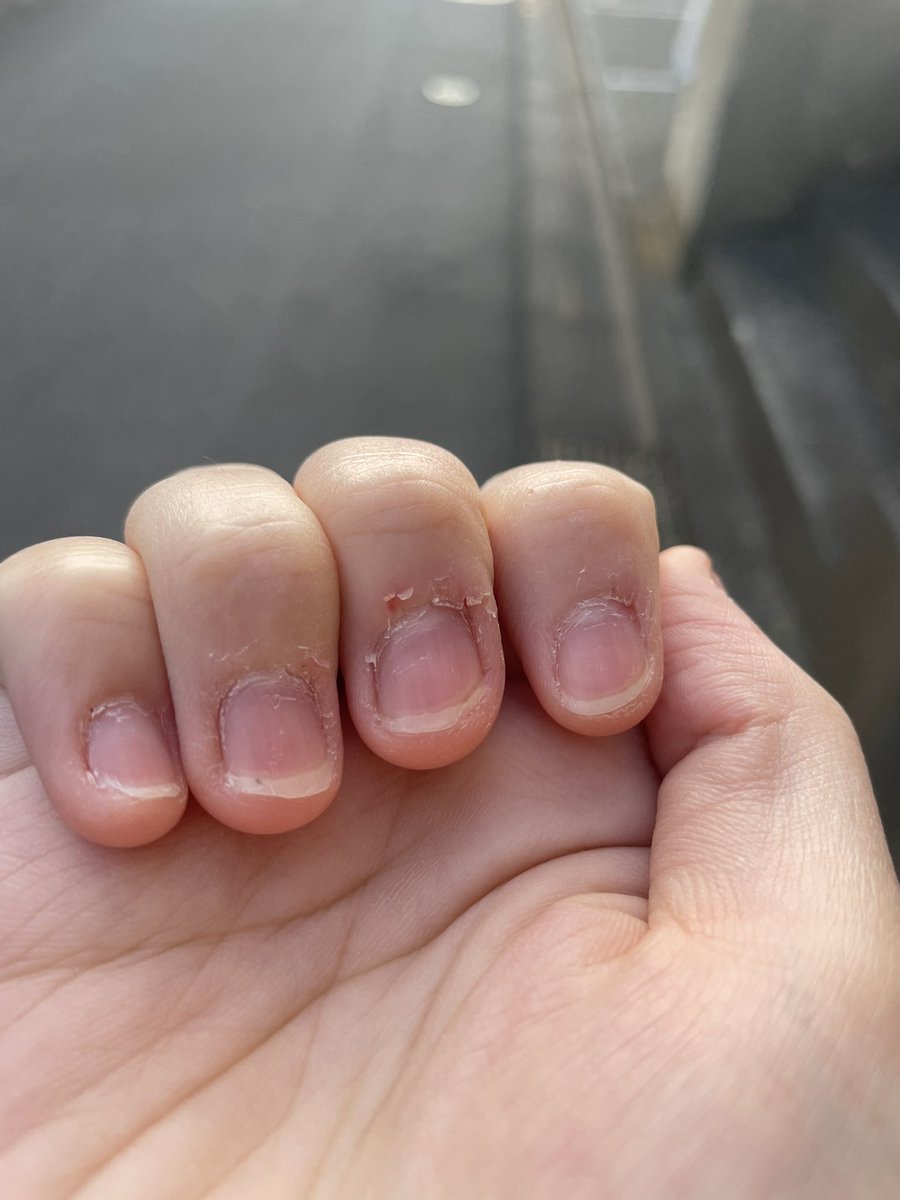 爪育成 Twitter Search