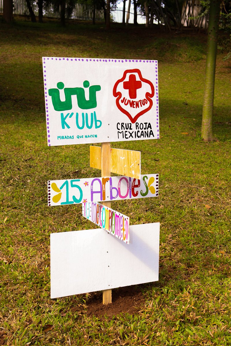 KuubMx's tweet photo. Reforestando el Parque la pólvora en colaboración con @CR_Tabasco @cru

#tabasco @HolachiotTab  @inundeishon  @TabascoHOY  @TVTenlinea https://t.co/g7nONmtFv0