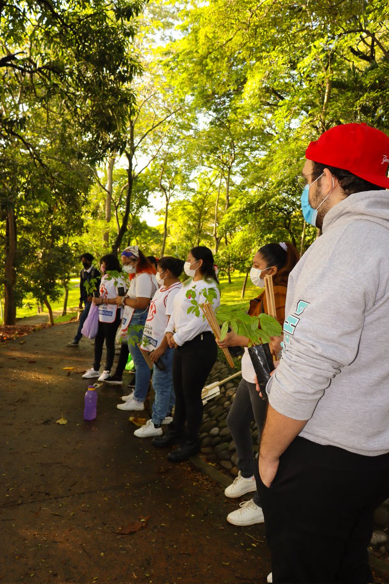 KuubMx's tweet photo. Reforestando el Parque la pólvora en colaboración con @CR_Tabasco @cru

#tabasco @HolachiotTab  @inundeishon  @TabascoHOY  @TVTenlinea https://t.co/g7nONmtFv0