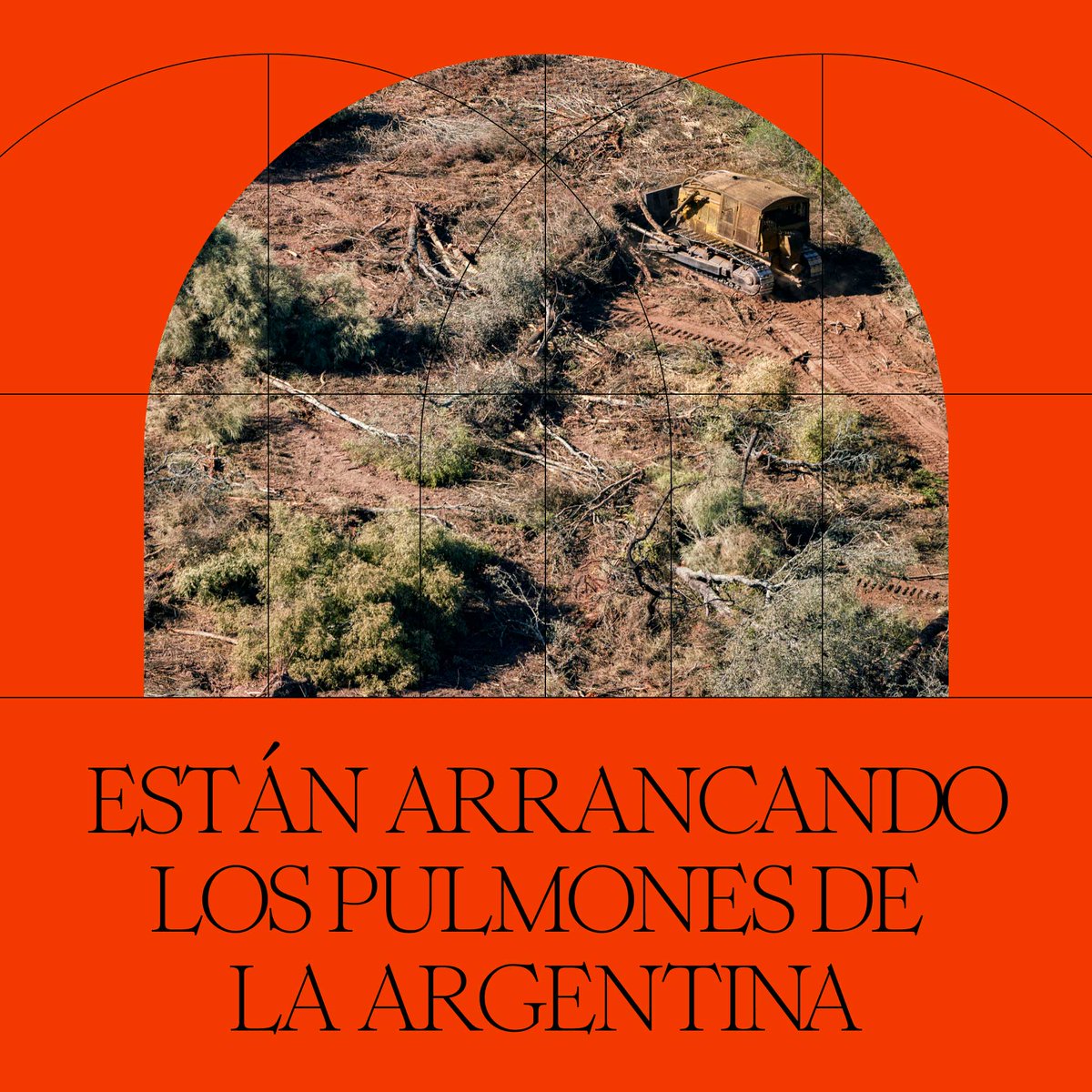 PxP_LAC's tweet photo. Con cadenas y topadoras arrasan con bosques milenarios en apenas días. Borran la historia de la vida con violencia e impunidad.
¿Querés hacer algo al respecto? Sumate a la campaña 👇
https://t.co/VESvGijlmX
#SalvemosGranChaco
#DeforestaciónCERO https://t.co/XEK1wwtzHU