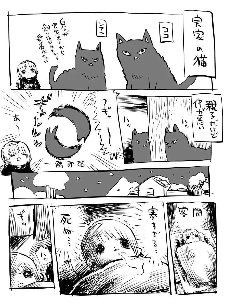 実家の猫の思い出漫画！親子なのに仲が悪すぎる！！