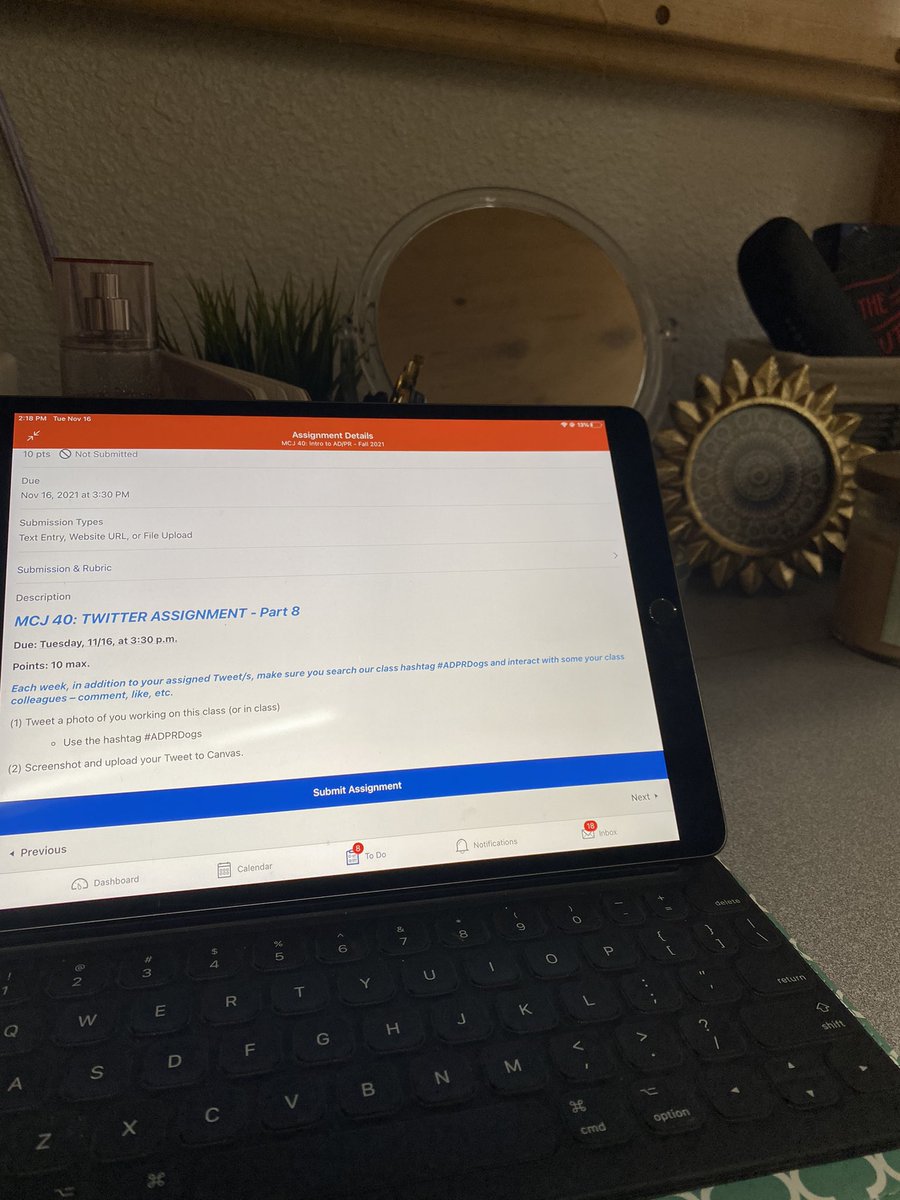 EveneeGB's tweet photo. Having a clean, nice and colorful desk always makes doing my assignments for school easier! Happy Tuesday 🤎☁️ #ADPRDogs #publicrelations #school #college https://t.co/A6UjGmnKY3