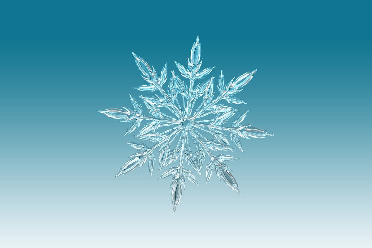 SecretClubMana3's tweet photo. @ivormeddler @AlanTait9 Well it is winter after all.........#snowflake https://t.co/iw0rkD0gHj