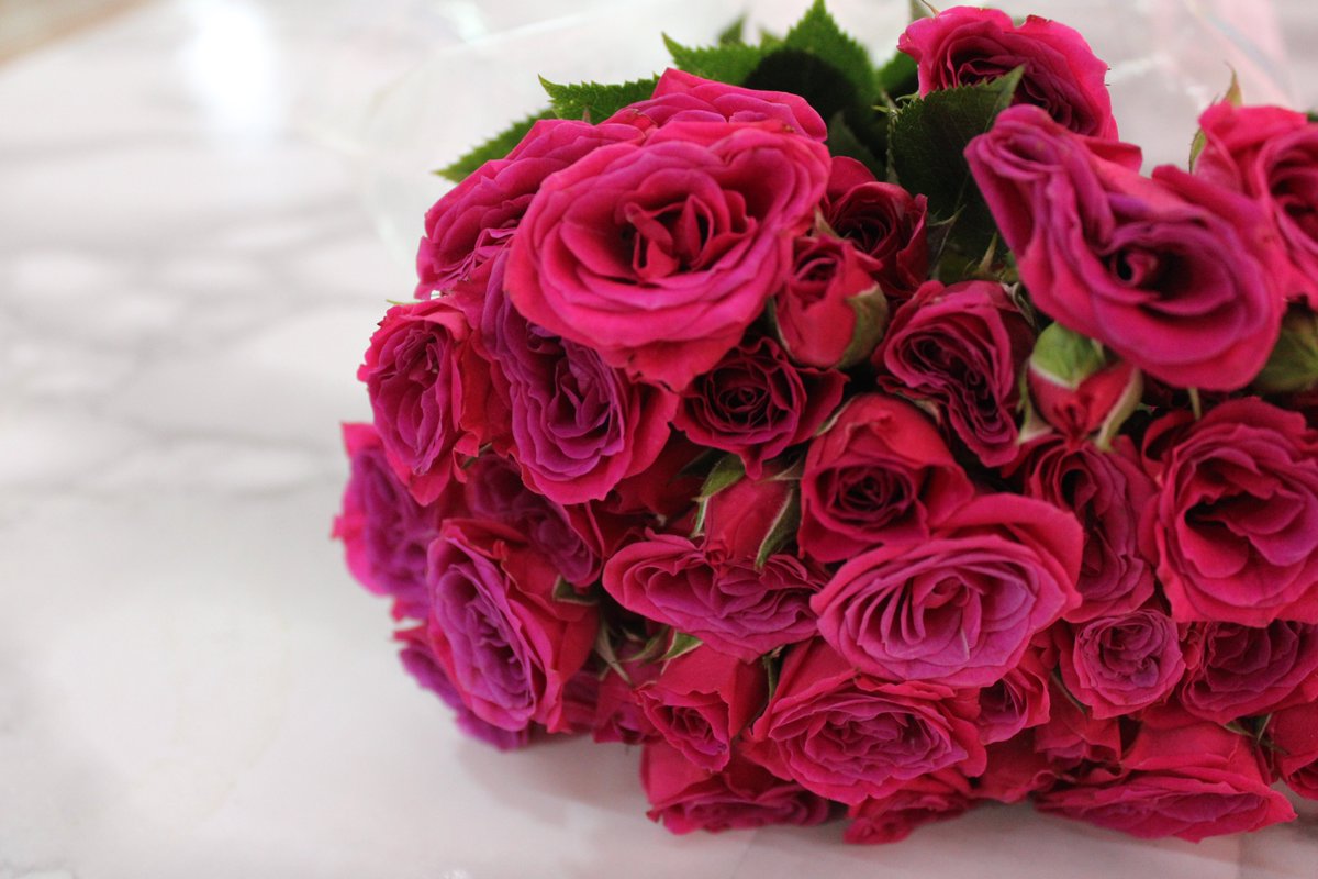 Cancunissimo1's tweet photo. Compra y envía de una manera rápida y segura tus #Rubyflower en Floreria Ruby 24hrs #Cancún 💐
Contáctalos via whatsapp 998 227 3745 con un horario de atención 24 hrs de Lunes a Sábado. 📞 https://t.co/4eWsjAHrZT