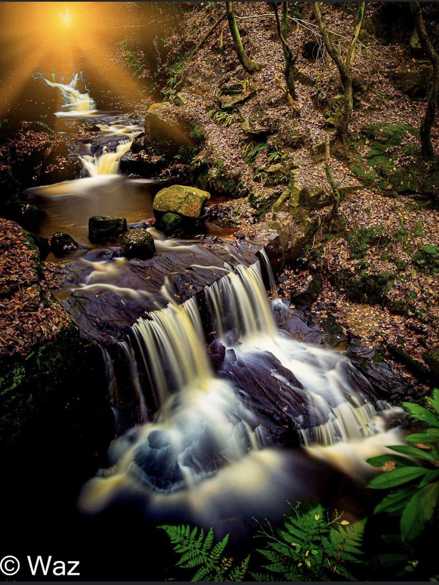 WarrenRome's tweet photo. One of my fave shots from last week… Down at Jepson’s Waterfall on Chorley / Rivington borders… #NaturePhotography #waterfall #autumn #manchester #bolton #authorofthemacabre #photography https://t.co/jGOeLXRLpe