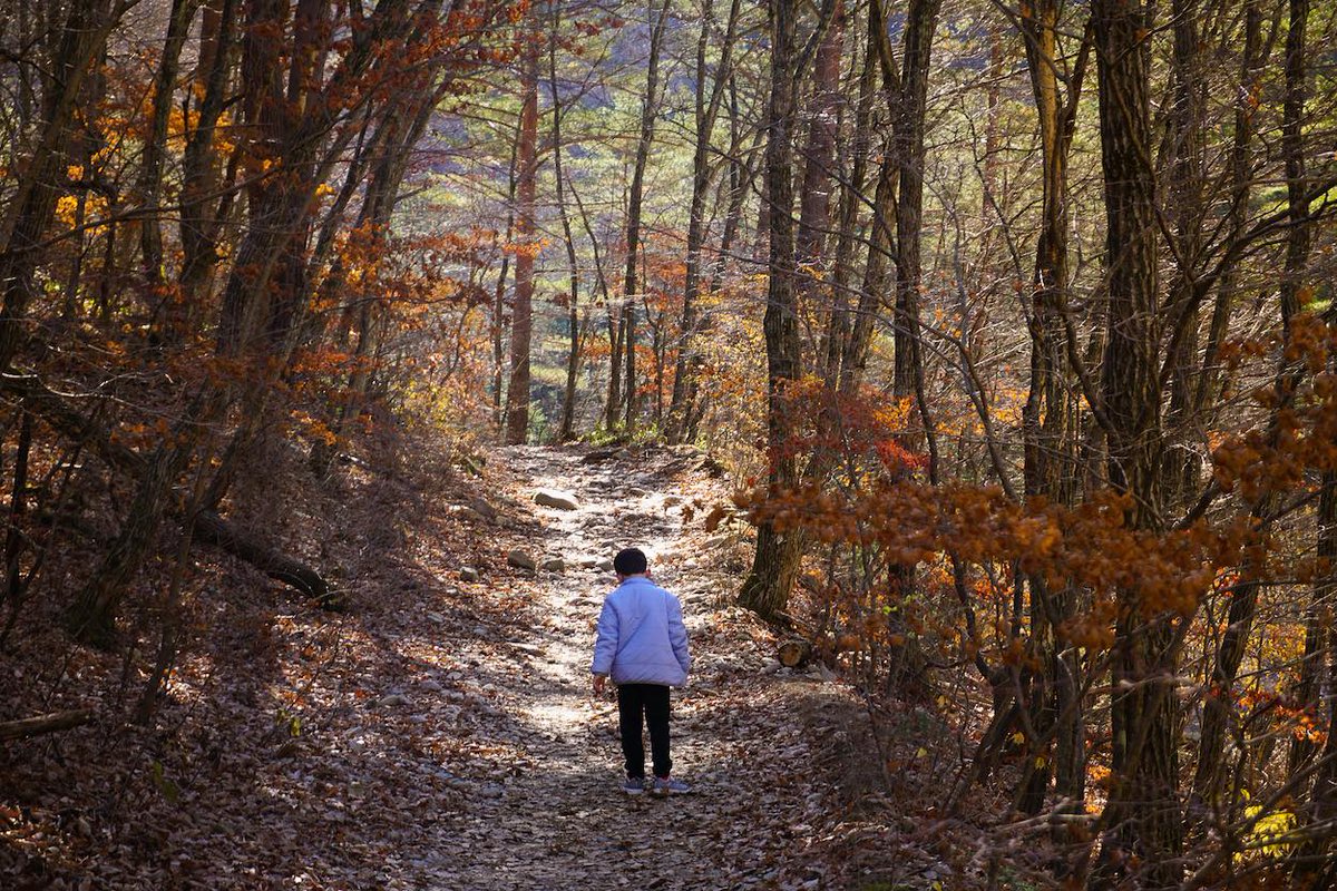 USForcesKorea's tweet photo. If someone says "Take a hike" tell them, "Thanks, I will!"
#NationalTakeAHikeDay #Korea #AssignmentOfChoice https://t.co/scLeLKOzg8