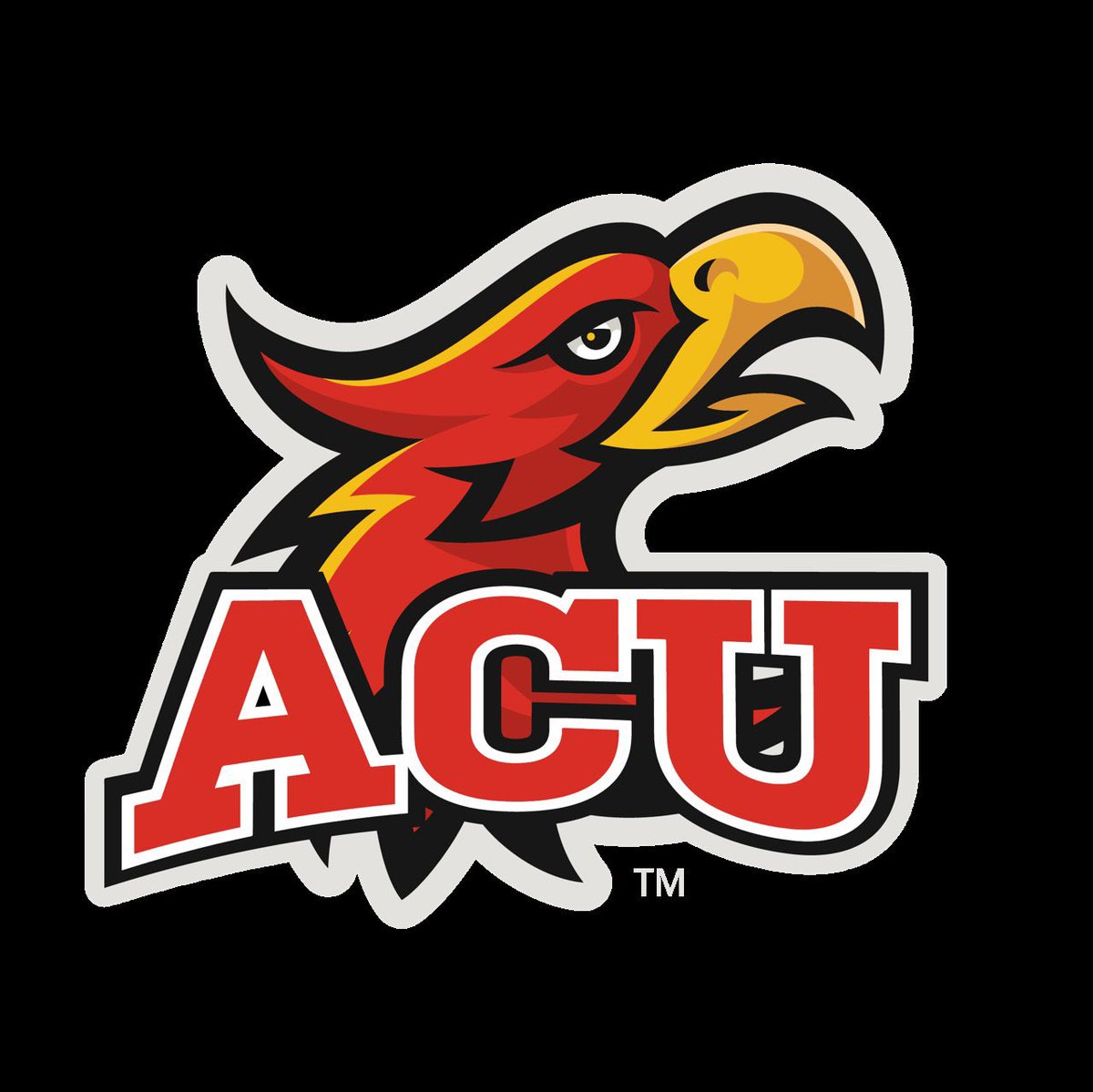RobertAliiBrow1's tweet photo. After a great phone call with @CoachArt3 I am proud to announce I’ve officially received my second scholarship offer to play at Arizona Christian University! https://t.co/P3AxPABb9P